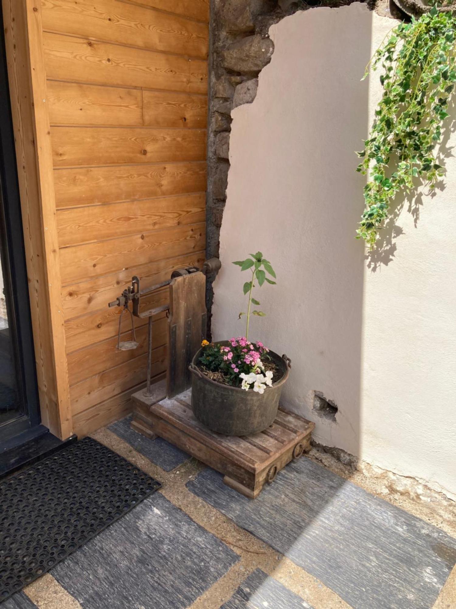 Chalet Melba Le Clos Des Ours ماتمال المظهر الخارجي الصورة